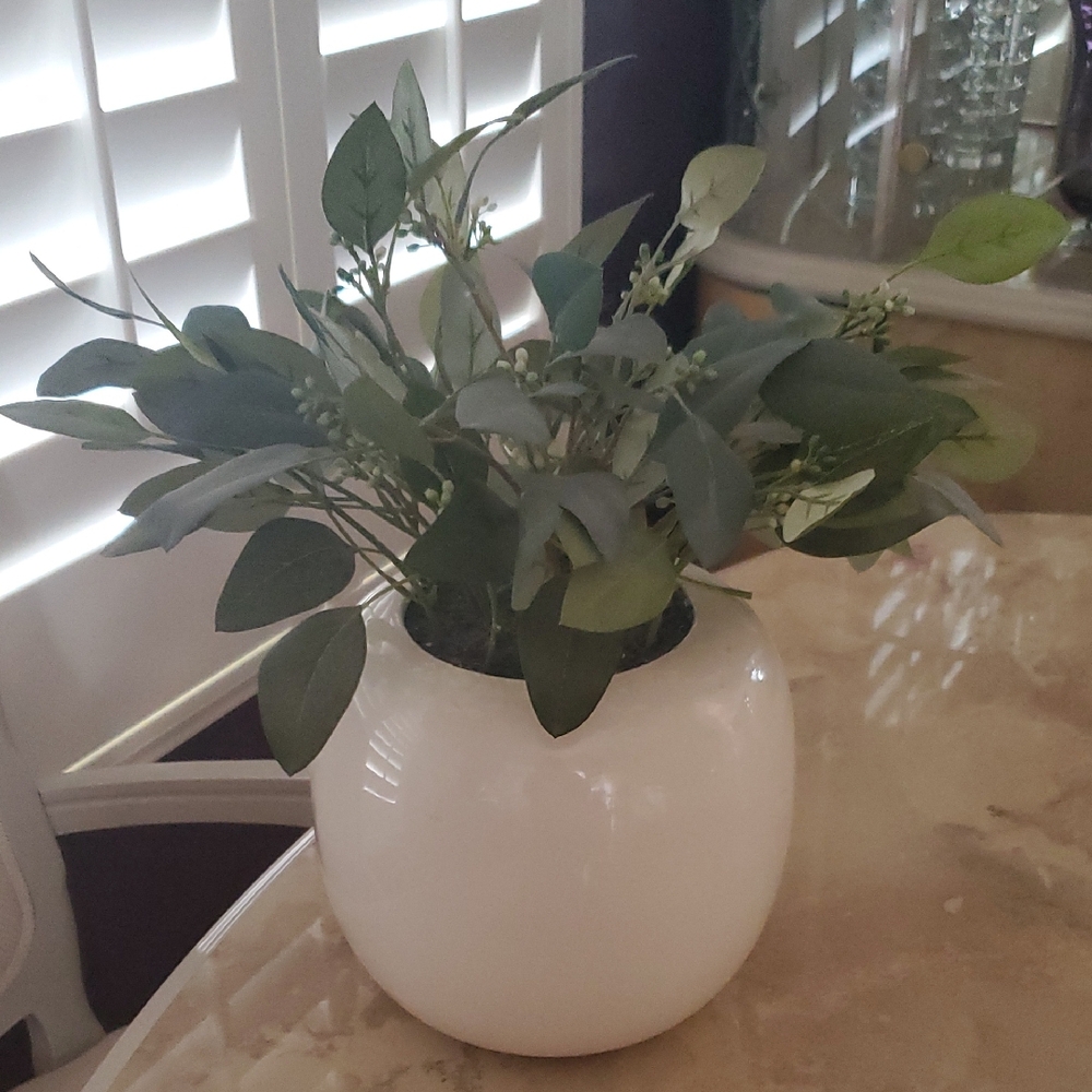 Elegant White Ceramic Vase with Greenery Nwot